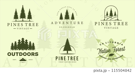 set of pine tree logo vintage vector illustration template icon graphic design. bundle collection of various retro plant pines with typography 115504842