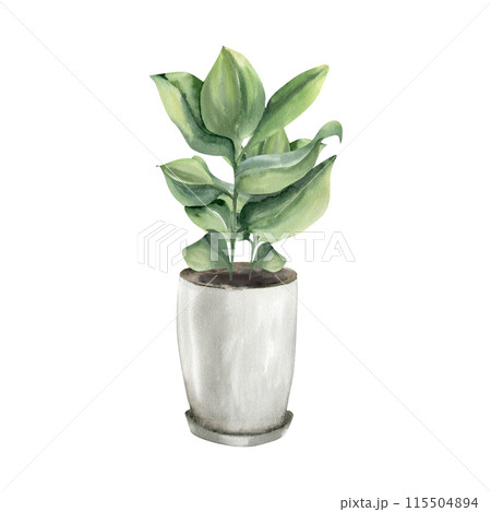 Home plant in white ceramic pot watercolor illustration. Hand drawn urban jungle palm with green leaves potted in container for house decor, interior design in boho natural style 115504894