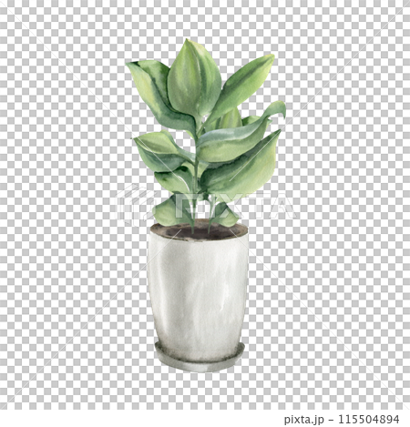 Home plant in white ceramic pot watercolor illustration. Hand drawn urban jungle palm with green leaves potted in container for house decor, interior design in boho natural style 115504894