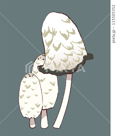 かわいいキノコのイラスト かわいいキノコのイラスト 115505352