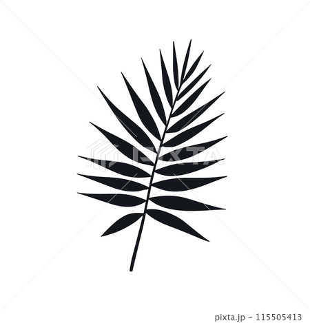 Palm summer tropical leaf silhouette icon. Jungle plant black tree foliage isolated palm exotic leaf 115505413
