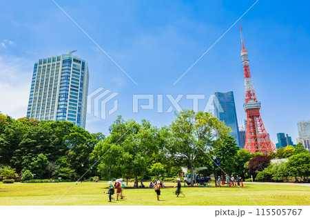 芝公園から見る東京タワー 芝公園から見る東京タワー 115505767