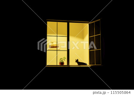 Light in the window 115505864