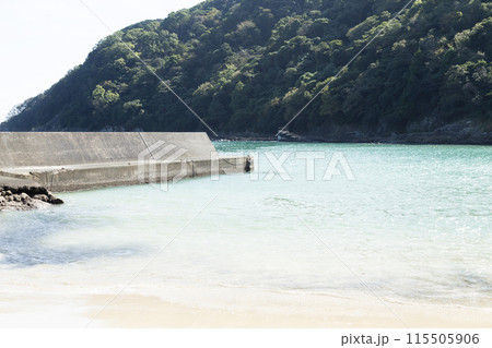 伊豆　鍋田浜海水浴場 115505906