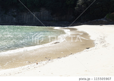 伊豆　鍋田浜海水浴場 115505907