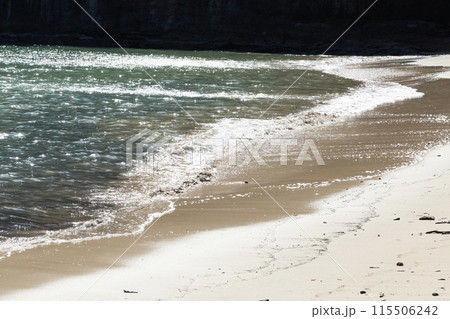 伊豆　鍋田浜海水浴場 115506242