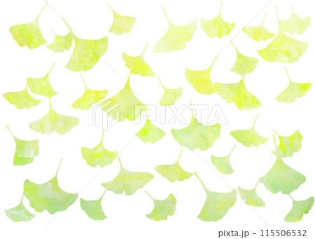 白背景に黄葉した銀杏の葉が舞い降りる美しい風景イラスト。水彩イラストによる秋らしい模様。 115506532