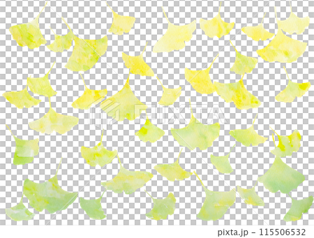 白背景に黄葉した銀杏の葉が舞い降りる美しい風景イラスト。水彩イラストによる秋らしい模様。 115506532