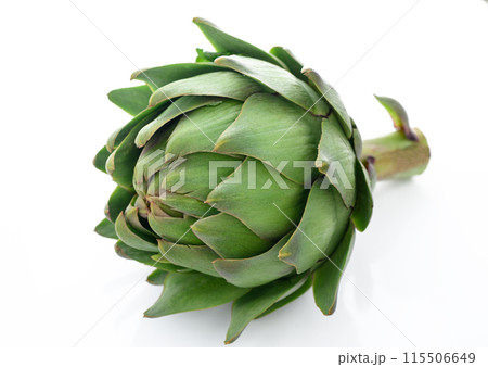 Greeen artichoke isolated on white background. Greeen artichoke isolated on white background. 115506649