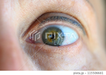 A close up shot of a beautiful green eye 115506681