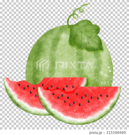 Watermelon fruit, sliced watermelon Watermelon fruit, sliced watermelon 115506989