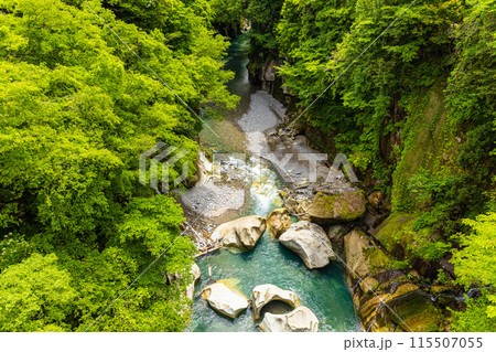 【石川県･白山市】新緑の手取峡谷 綿ヶ滝 115507055