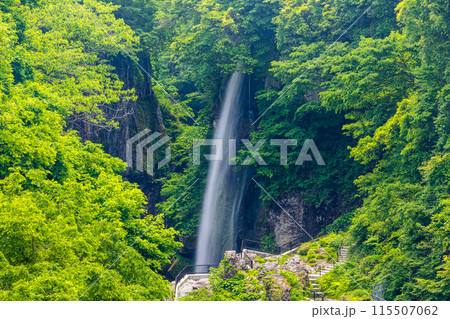【石川県･白山市】新緑の手取峡谷 綿ヶ滝 115507062