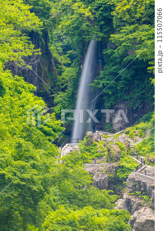 【石川県・白山市】新緑の手取峡谷 綿ヶ滝 【石川県・白山市】新緑の手取峡谷 綿ヶ滝 115507066