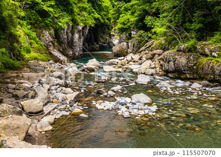 【石川県･白山市】新緑の手取峡谷 綿ヶ滝 115507070