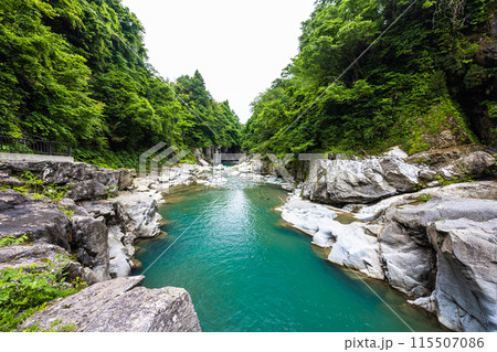 【石川県・白山市】新緑の手取峡谷 綿ヶ滝 【石川県・白山市】新緑の手取峡谷 綿ヶ滝 115507086