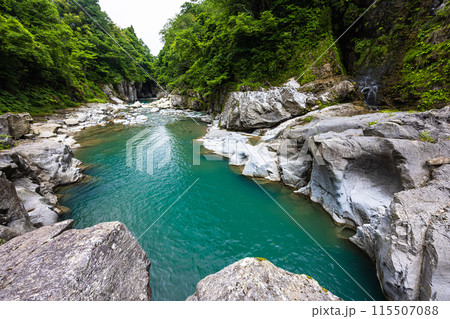 【石川県･白山市】新緑の手取峡谷 綿ヶ滝 115507088