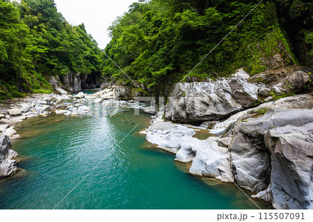 【石川県・白山市】新緑の手取峡谷 綿ヶ滝 【石川県・白山市】新緑の手取峡谷 綿ヶ滝 115507091