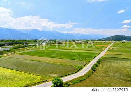 光橋/犀川より下流方向を望む(長野県安曇野市)【2024.6】 光橋/犀川より下流方向を望む(長野県安曇野市)【2024.6】 115507416