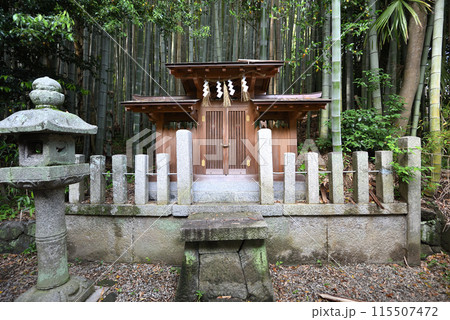 天岩戸神社 天岩戸神社 115507472