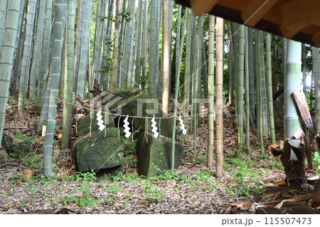天岩戸神社 115507473
