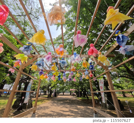 神社のカラフルなてるてる坊主 115507627
