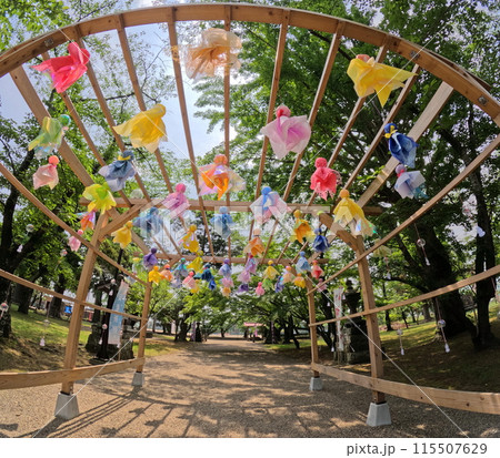神社のカラフルなてるてる坊主 115507629