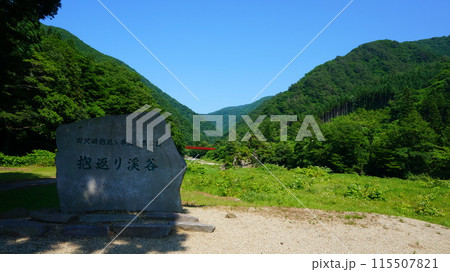 初夏の抱返り渓谷 115507821