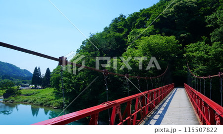 初夏の抱返り渓谷 115507822