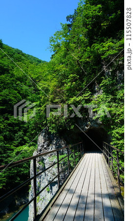 初夏の抱返り渓谷 初夏の抱返り渓谷 115507828