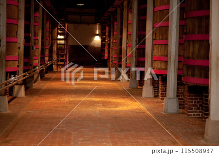 Historic vineyard with old cellar and barrels, showcasing traditional winemaking Historic vineyard with old cellar and barrels, showcasing traditional winemaking 115508937