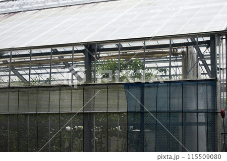 植物栽培の温室の屋根の仕組みの様子 植物栽培の温室の屋根の仕組みの様子 115509080