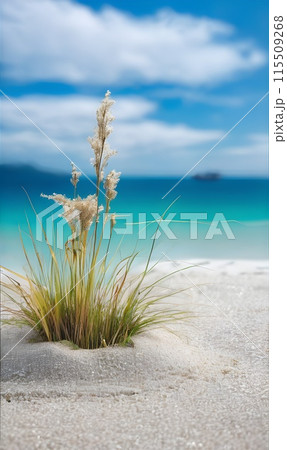 Minimalist Beach Photography with Grass and Flower Minimalist Beach Photography with Grass and Flower 115509268