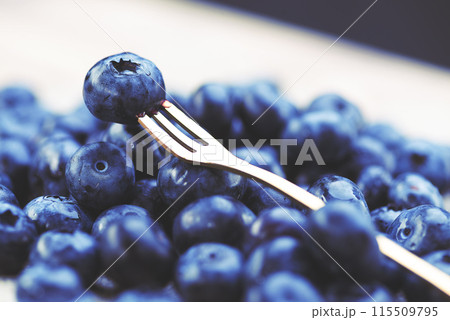 Fresh blueberries on a fork close-up 115509795