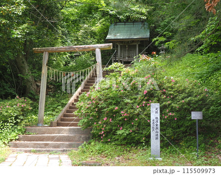 佐渡島　高任神社 115509973