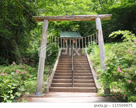 佐渡島　高任神社 115509975