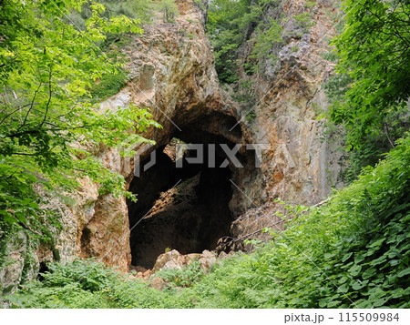 佐渡島 道遊の割戸 佐渡島 道遊の割戸 115509984
