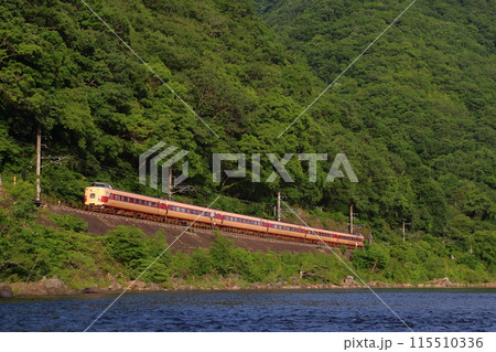 新緑の伯備線特急やくも号:381系電車(国鉄色リバイバル編成) 新緑の伯備線特急やくも号:381系電車(国鉄色リバイバル編成) 115510336