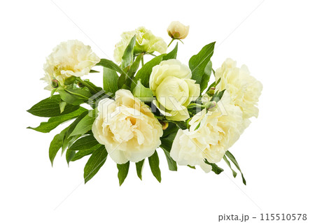 Fresh Peony Bouquet Isolated on White 115510578