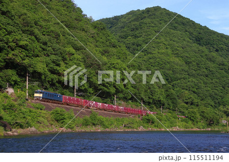 新緑の高梁川と伯備線をゆくEF64形牽引の貨物列車 115511194