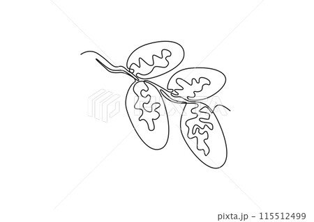 Continuous one line drawing stack healthy organic sweet fruit dates for orchard logo identity. Saudi Arabia fruitage concept for fruit garden icon. Single line draw design vector graphic illustration Continuous one line drawing stack healthy organic sweet fruit dates for orchard logo identity. Saudi Arabia fruitage concept for fruit garden icon. Single line draw design vector graphic illustration 115512499