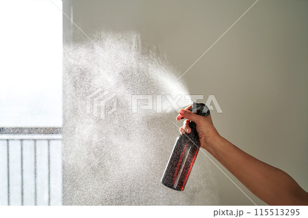 A woman's hand sprays an air freshener in a room. 115513295