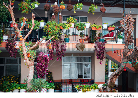 Balcony filled with hanging plants and decorations Balcony filled with hanging plants and decorations 115513365