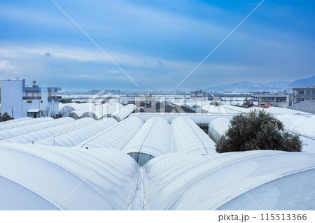 Rooftop greenhouses with city background and sky Rooftop greenhouses with city background and sky 115513366
