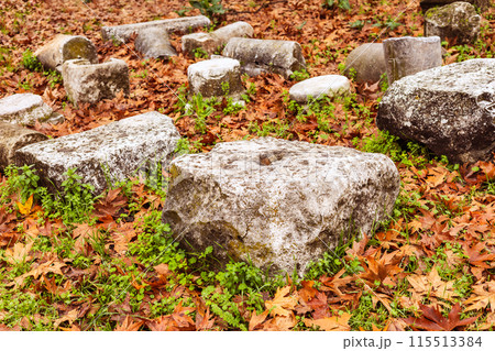 Autumn Leaves and Smooth Stones 115513384