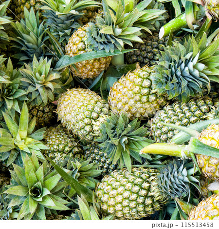 Pineapple background and texture 115513458