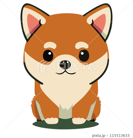 柴犬 115513633
