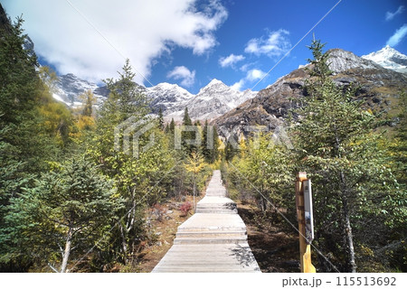 The Autumn in Siguniang Mountain at west of the capital city of Chengdu in Xiaojin country ,Sichuan ,China The Autumn in Siguniang Mountain at west of the capital city of Chengdu in Xiaojin country ,Sichuan ,China 115513692