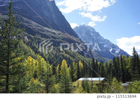 The Autumn in Siguniang Mountain at west of the capital city of Chengdu in Xiaojin country ,Sichuan ,China 115513694