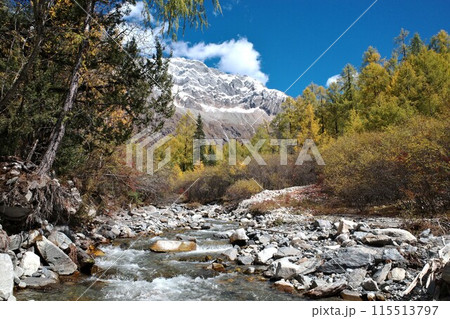The Autumn in Siguniang Mountain at west of the capital city of Chengdu in Xiaojin country ,Sichuan ,China  115513797